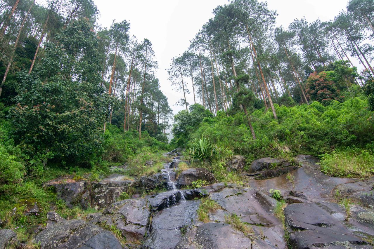 Telomoyo nature park